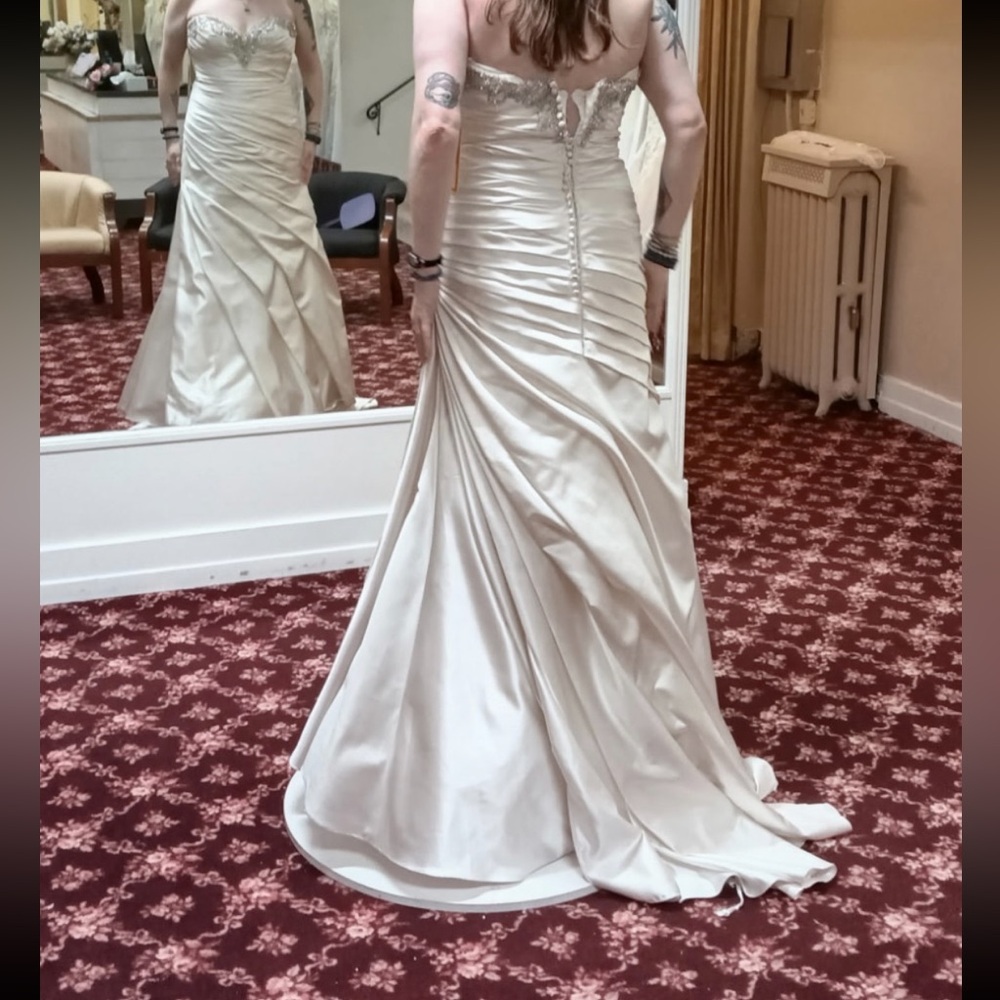 Stunning Wedding Dress - Picture 3 of 5